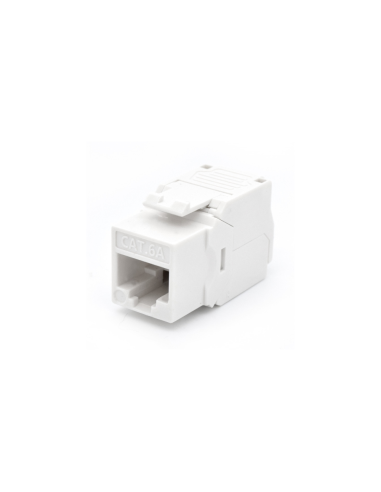 WP WPC-KEY-6AUP-TL/W módulo de conector de red