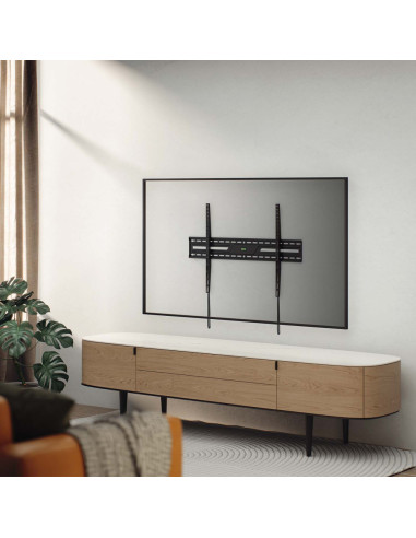 AISENS WT100F-317 soporte para TV 2,54 m (100")