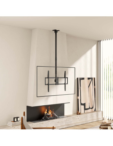 AISENS CT100TSLE-393 soporte para TV 2,54 m (100")