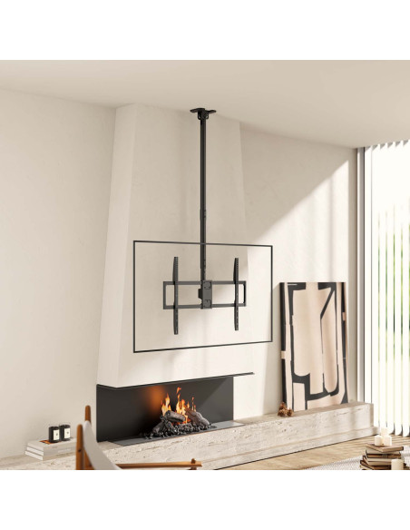 AISENS CT100TSLE-393 soporte para TV 2,54 m (100")