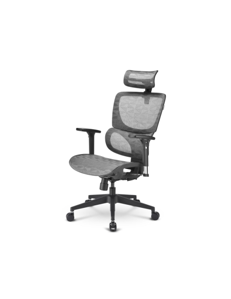 Sharkoon OfficePal C30M Asiento de malla Respaldo de malla