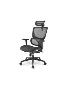 Sharkoon OfficePal C30 Asiento tipo nido Respaldo de malla
