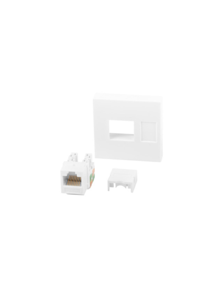 Lanberg WS-4545-RJ45K-W placa de pared y cubierta de interruptor Blanco