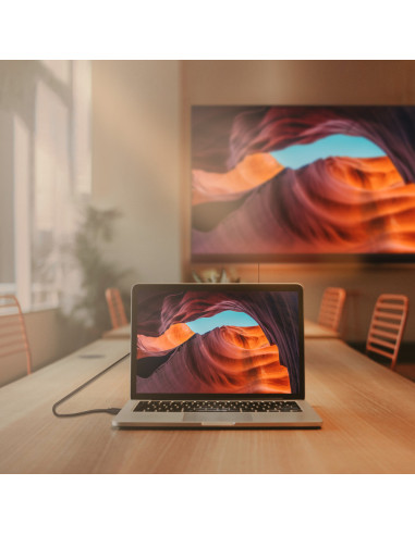 AISENS Cable DISPLAYPORT V1.2 CCS 4K@60Hz, DP/M-DP/M, Negro, 3.0m