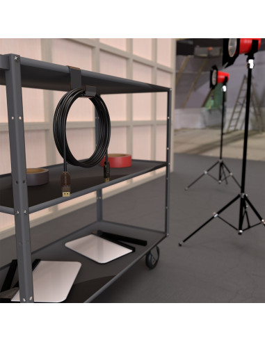 AISENS A155-0608 cable DisplayPort 20 m Negro