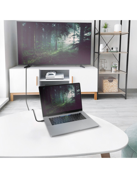 AISENS Cable Conversor Aluminio USB-C A HDMI 2.1 8k@60Hz, USB-C/M-HDMI/M, Negro, 2.0m