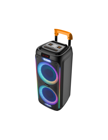 Denver TSP-456 Altavoz para fiestas Negro 60 W