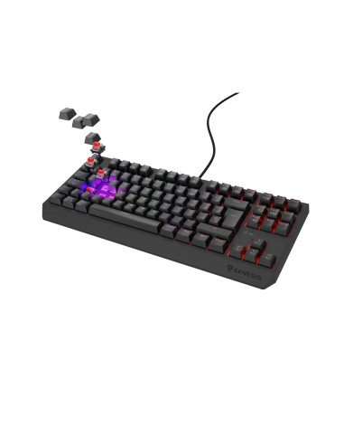 GENESIS Thor 230 TKL teclado Juego USB QWERTY Español Negro