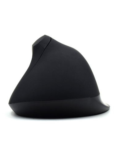 Ewent EW3158 ratón Oficina mano derecha RF inalámbrico 1600 DPI