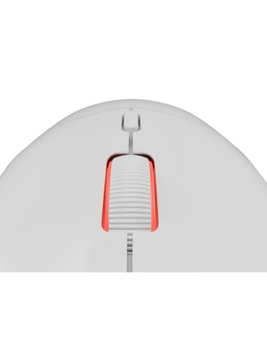 GENESIS Zircon XIII ratón Juego Ambidextro RF Wireless + USB Type-C Óptico 26000 DPI