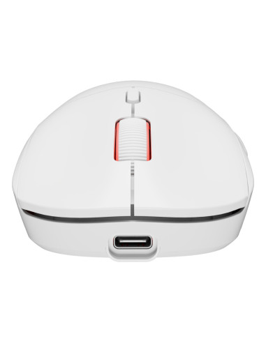 GENESIS Zircon XIII ratón Juego Ambidextro RF Wireless + USB Type-C Óptico 26000 DPI