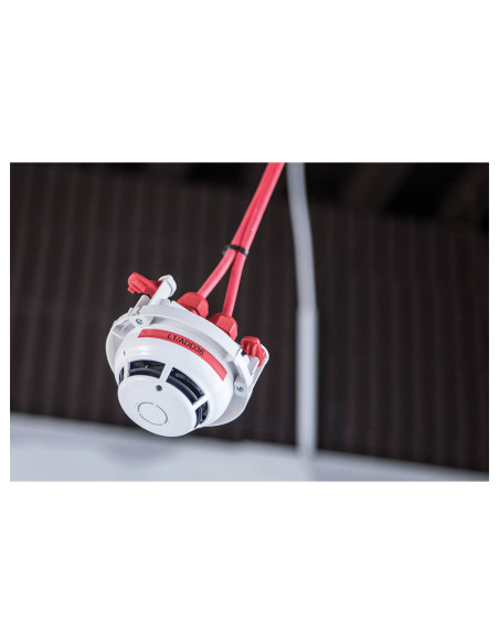 Brother PTE110VPYP1 impresora de etiquetas 180 x 180 DPI 20 mm/s TZe QWERTY