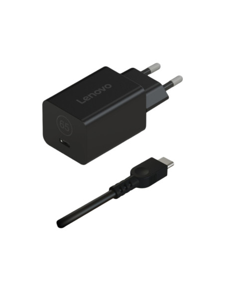 Lenovo 40AWGN65EU adaptador e inversor de corriente Interior Negro
