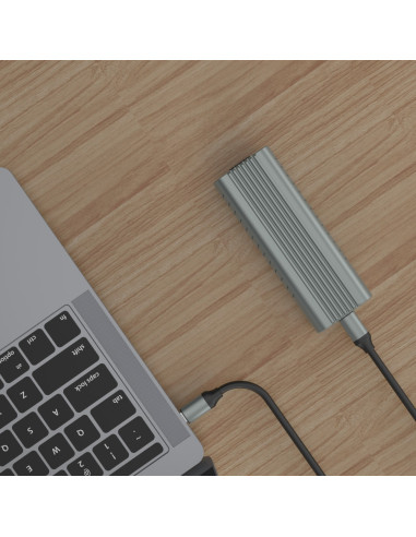 Ewent EW7025 caja para disco duro externo Caja externa para unidad de estado sólido (SSD) Gris M.2