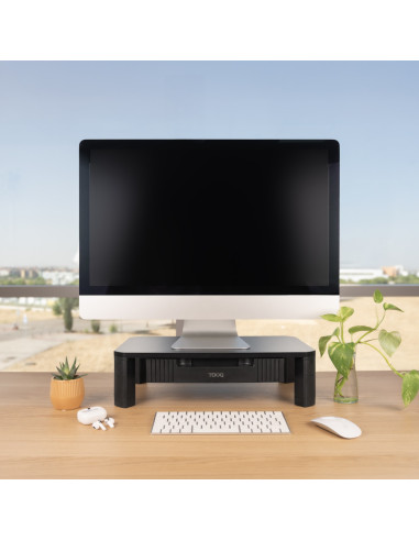TooQ TQMMPD02 soporte para monitor Escritorio