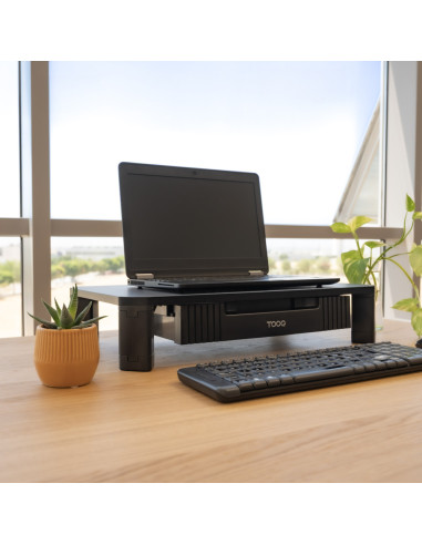 TooQ TQMMPD02 soporte para monitor Escritorio