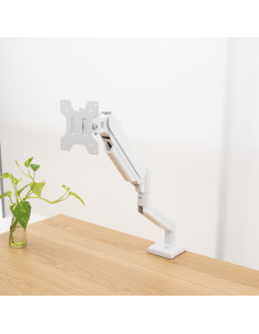 TooQ DB1334TNR-W soporte para monitor 86,4 cm (34") Escritorio Blanco 2