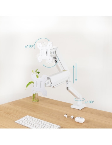 TooQ DB1334TNR-W soporte para monitor 86,4 cm (34") Escritorio Blanco