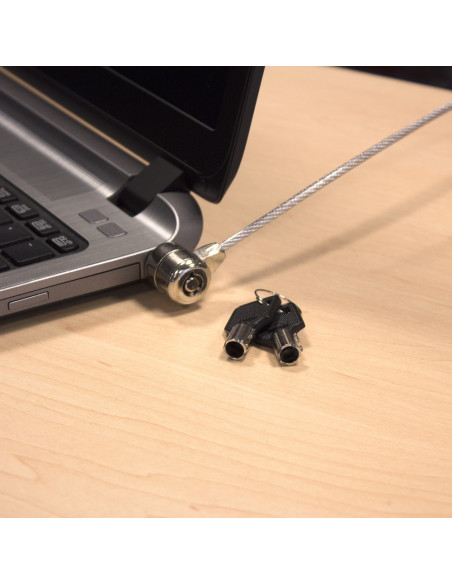 Ewent EW1242 cable antirrobo Negro, Acero inoxidable 1,5 m