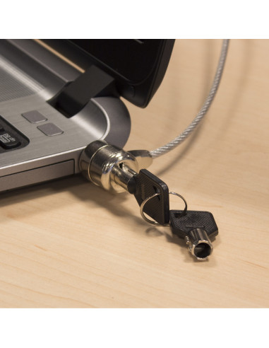 Ewent EW1242 cable antirrobo Negro, Acero inoxidable 1,5 m