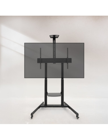 TooQ “AQUILES” Soporte de Suelo con Ruedas con Regulación de Altura para Pantallas 60"-100", Negro