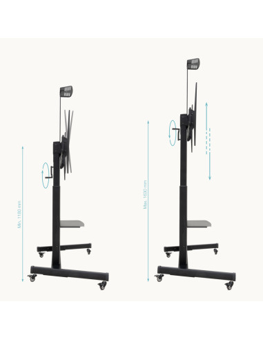 TooQ “AQUILES” Soporte de Suelo con Ruedas con Regulación de Altura para Pantallas 60"-100", Negro