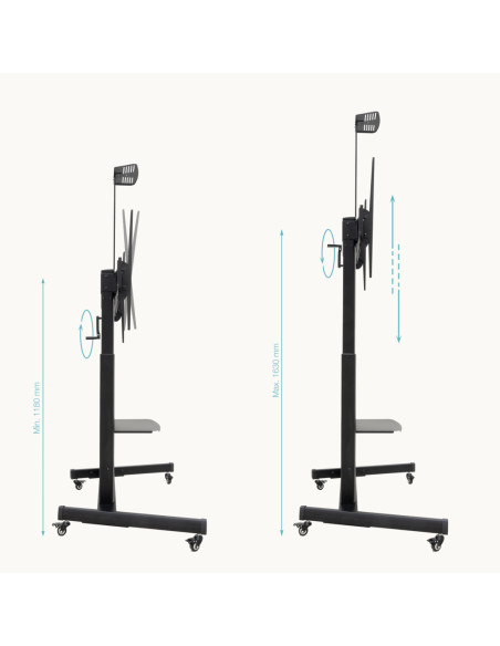 TooQ “AQUILES” Soporte de Suelo con Ruedas con Regulación de Altura para Pantallas 60"-100", Negro