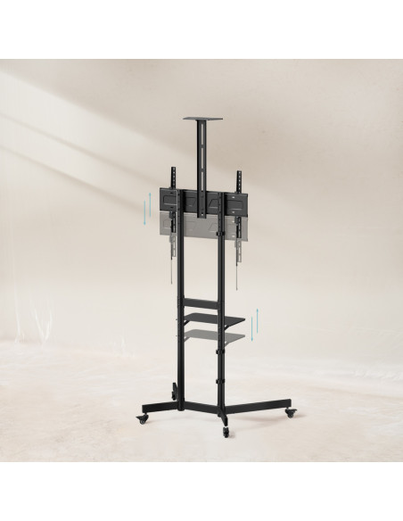 TooQ “NEFERTITI” Soporte de suelo con Ruedas para pantallas de 37”-70”, Negro