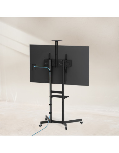TooQ “NEFERTITI” Soporte de suelo con Ruedas para pantallas de 37”-70”, Negro