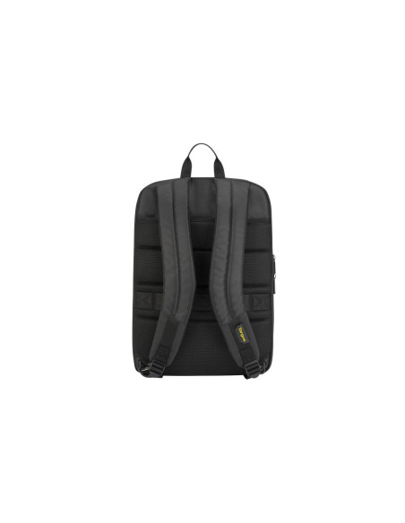 Targus CityGear 39,6 cm (15.6") Mochila Negro