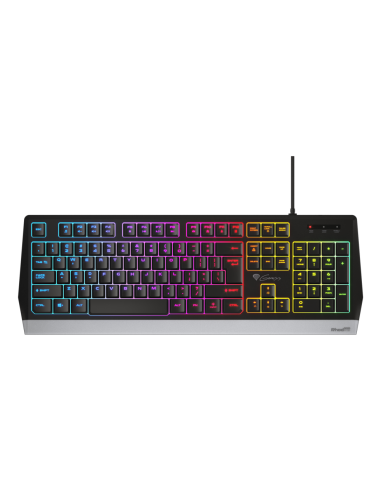GENESIS RHOD 300 RGB teclado Juego USB Negro