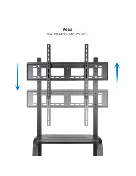 TooQ Coloso Soporte de Suelo con Ruedas para Pantalla 37"-100"
