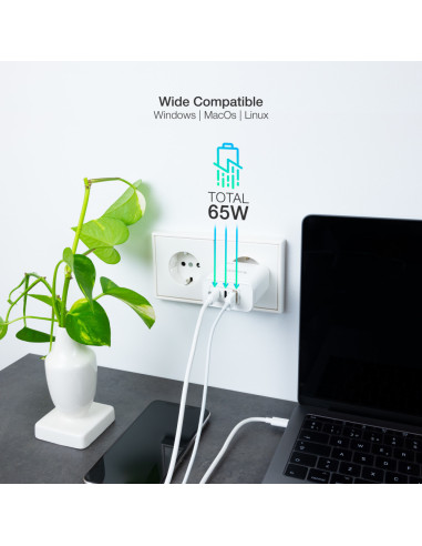 TooQ Cargador de Pared GaN 2USB-C/PD + USB-A/QC 65W, Blanco