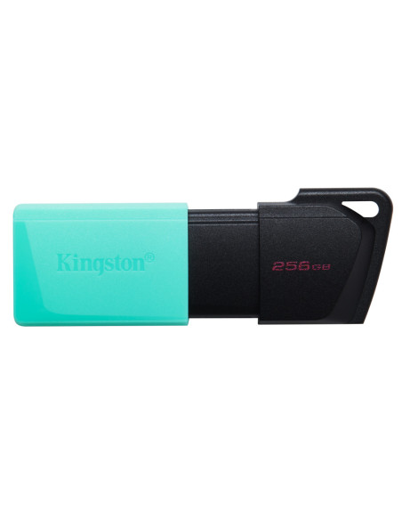 Kingston Technology DataTraveler 256GB USB3.2 Gen1 Exodia M (Negro + Turquesa)