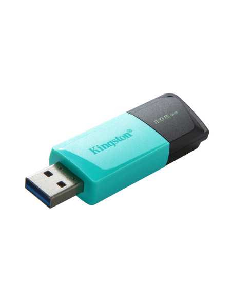 Kingston Technology DataTraveler 256GB USB3.2 Gen1 Exodia M (Negro + Turquesa)