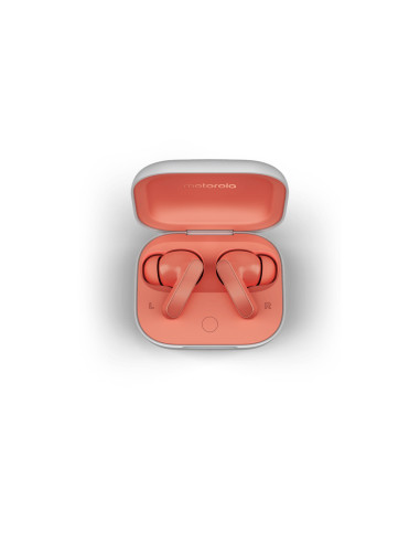 Motorola Moto Buds Auriculares Inalámbrico Dentro de oído Llamadas/Música/Deporte/Uso diario Bluetooth Coral