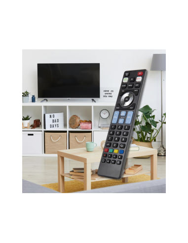 Ewent EW1576 mando a distancia TV Botones