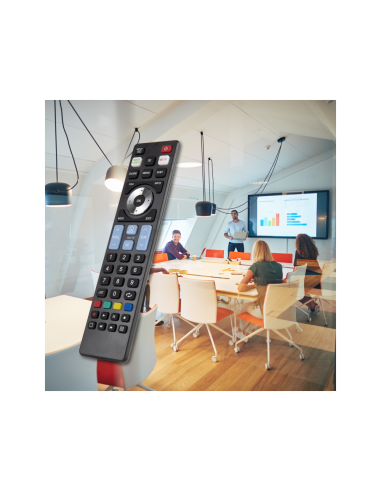 Ewent EW1576 mando a distancia TV Botones