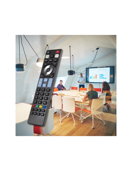 Ewent EW1576 mando a distancia TV Botones