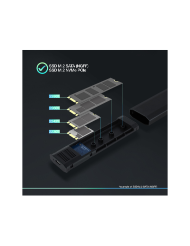 TooQ Shura Caja externa para unidad de estado sólido (SSD) Negro M.2