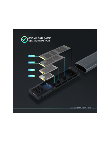 TooQ Shura Caja externa para unidad de estado sólido (SSD) Gris M.2