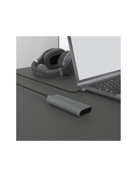 Ewent EW7025 caja para disco duro externo Caja externa para unidad de estado sólido (SSD) Gris M.2