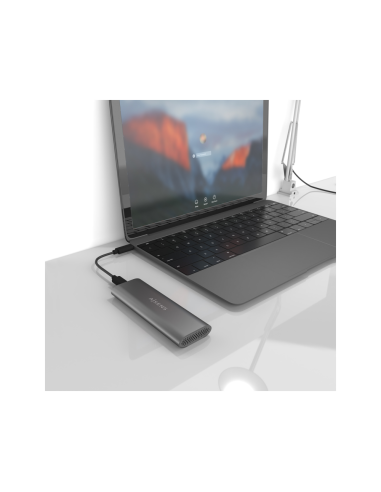 AISENS ASM2-015GR caja para disco duro externo Caja externa para unidad de estado sólido (SSD) Gris M.2