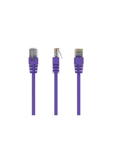 Gembird RJ45/RJ45 Cat5e 0.5m cable de red Púrpura 0,5 m U/UTP (UTP)
