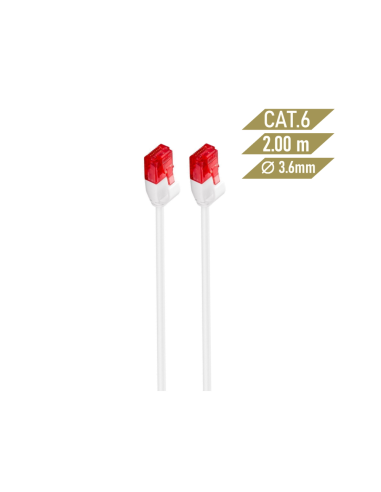 Ewent IM1039 cable de red Blanco 2 m Cat6 U/UTP (UTP)