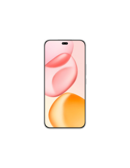 Honor 400 Pro 17 cm (6.7") MagicOS 9.0 5G 12 GB 512 GB 5300 mAh Gris