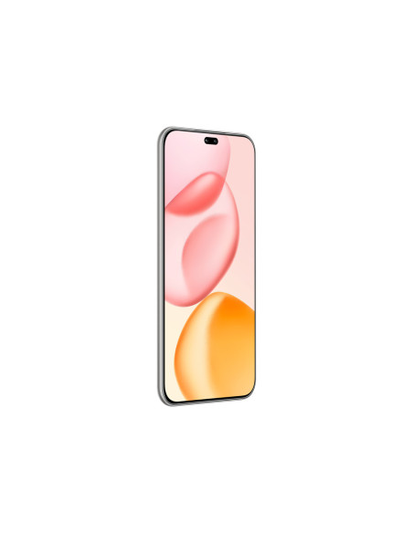 Honor 400 Pro 17 cm (6.7") MagicOS 9.0 5G 12 GB 512 GB 5300 mAh Gris