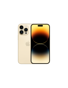 Apple iPhone 14 Pro Max 17 cm (6.7") SIM doble iOS 16 5G 256 GB Oro