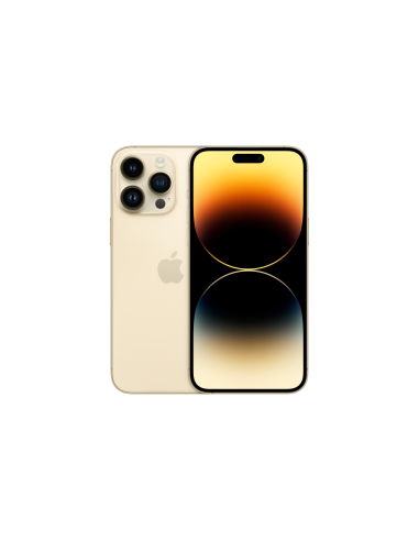 Apple iPhone 14 Pro Max 17 cm (6.7") SIM doble iOS 16 5G 256 GB Oro