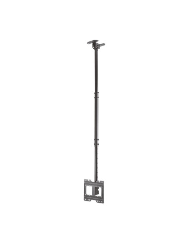 AISENS Soporte de techo giratorio, inclinable, extensible para monitor/TV 50kg de 23”-43”, Negro